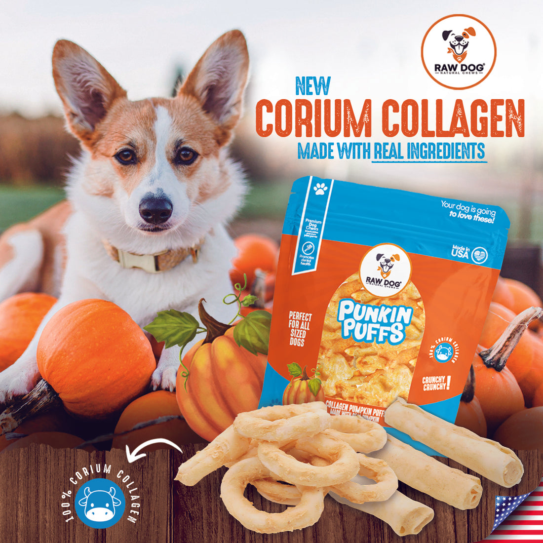 The Benefits of Pumpkin for Dogs